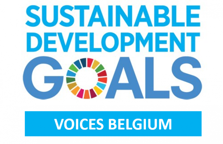 Logo SDG Voices Belgium