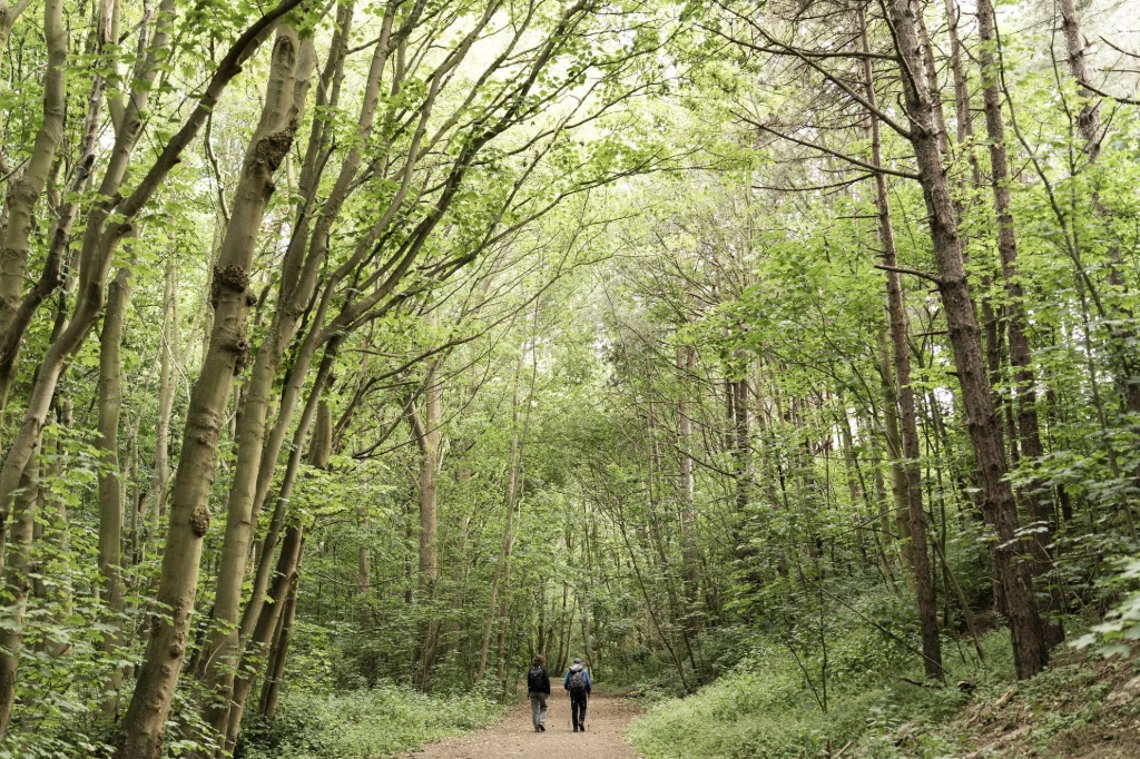 wandeling met twee door het bos